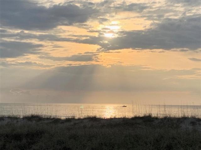 Driftwood Cottage - First Floor Oceanfront Beach Retreat! Exceptional Views, Location And Privacy Condo Carolina Beach Bagian luar foto